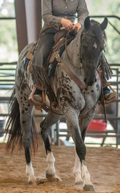 a woman riding on the back of a brown and white horse in an arena at a rodeo