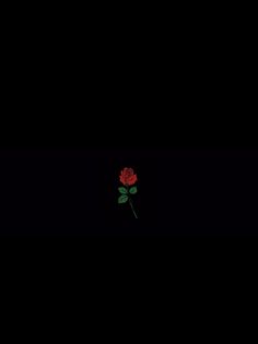 a single red rose on a black background