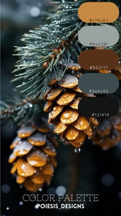 pine cones with different colors on them and the words color palate in front of them