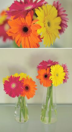 three vases with different colored flowers in them