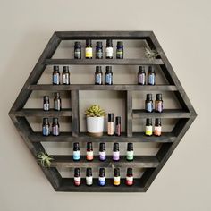 a wall mounted shelf filled with bottles of essential oils next to a succulent plant