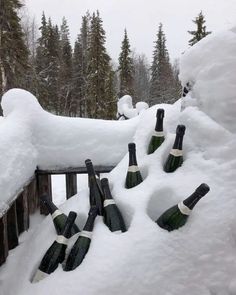 several bottles of wine are sitting in the snow on a wooden fence with pine trees behind them