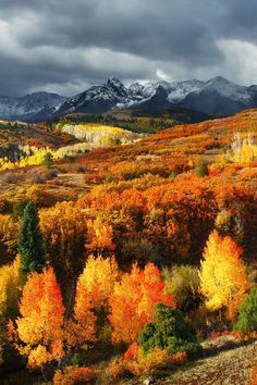 an autumn scene in the mountains with colorful trees and snow capped mountains behind them,