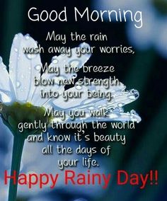 a white flower with the words happy rainy day