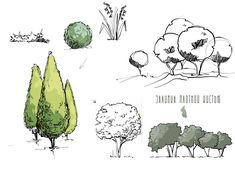 various trees and shrubs are shown in this drawing