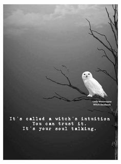 Visit the post for more. Witchy Quotes, Witch Quotes, Wiccan Witch, Magick Spells, Witchcraft Spell Books, Witch Spell Book, Witch Stuff, White Witch, Witch Magic