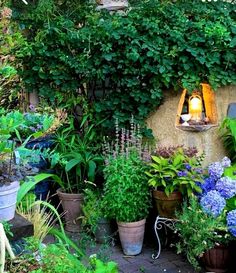 an outdoor garden with blue flowers and greenery on the walls, including potted plants