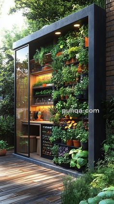 an outdoor garden with plants growing on the wall