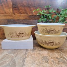 three ceramic bowls sitting next to each other on top of a wooden table with a plant in the background