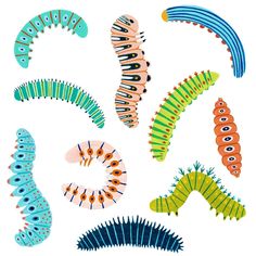 an assortment of different colored caterpillars on a white background