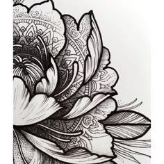 a black and white drawing of a flower with intricate designs on it's petals