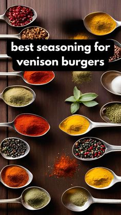 spoons filled with different types of seasonings on top of a wooden table in front of the words best seasoning for venison burgerers