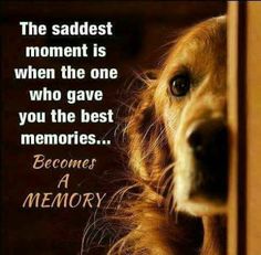 the saddest moment is when the one who gave you the best memories becomes a memory