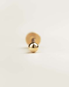 18k Gold Tiny Ball Flat Back Earrings | Assolari Gold Cartilage Earrings, Tragus Piercing Jewelry, Barbell Earrings, Pretty Ear Piercings, Tragus Earring, Helix Earring, Conch Earring, Tragus Piercing, Cartilage Earrings Hoop