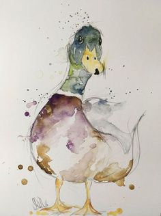 a watercolor painting of a duck with spots on it's head