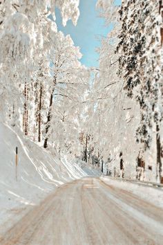 a snow covered road with trees on both sides