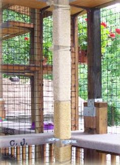 the inside of a caged in bird house