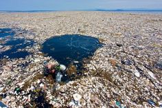 a large amount of trash floating on top of a body of water