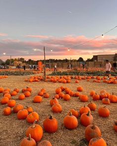 a field full of pumpkins sitting on top of dry grass