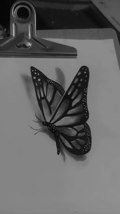 a black and white photo of a butterfly on a piece of paper with a clipping