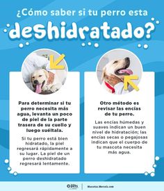 a poster with two dogs on it and the words deshidratatdo written in spanish