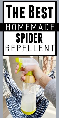 the best homemade spider repellent recipe