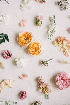 several different types of flowers arranged on a white surface with green leaves and pink ones