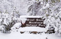 a sign that is covered in snow next to some trees and bushes with the words great smoky mountains national park written on it