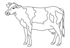 a black and white drawing of a cow standing in front of a white background,