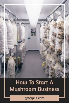 how to start a mushroom business