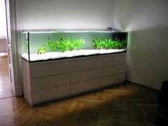 a fish tank with plants in it sitting on top of a wooden floor next to a door