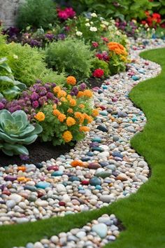 a garden filled with lots of different types of flowers