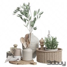 an arrangement of kitchen utensils and plants