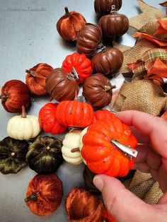 a person holding a knife over small pumpkins