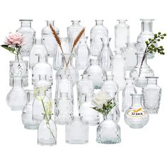 a large collection of glass vases with flowers in them on a white background for display