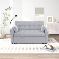 a living room with a gray couch and white rug