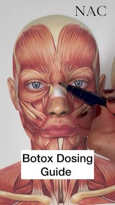 Botox Aesthetic, Diy Botox, Botox Facial, Botox Filler, Aesthetic Nurse, Nurse Injector