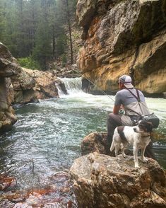 a man sitting on top of a rock next to a dog