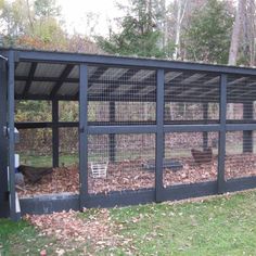 a black fenced in area next to a forest with lots of leaves on the ground