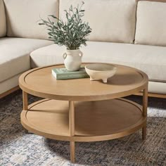 a living room with a couch, coffee table and potted plant on the corner