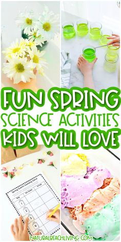 fun spring science activities kids will love