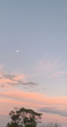 two giraffes are standing in the grass at sunset with a full moon behind them