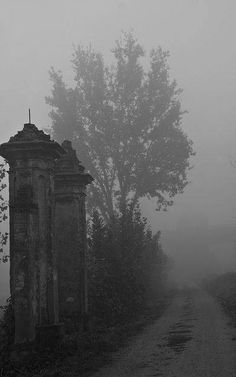 an old cemetery in the fog on a country road