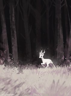 a deer standing in the middle of a forest filled with tall grass and trees at night