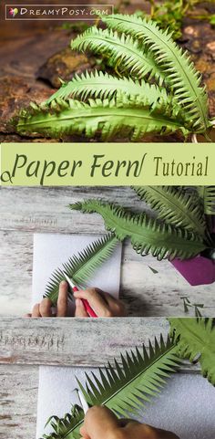 the steps to make a paper fern plant