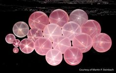 Star Rose Quartz, Rough Rose Quartz, Pink Chalcedony, Quartz Pink, Starry Eyed, Crystal Formations, Smoky Quartz Crystal