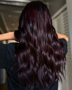 Blackish Red Hair Color, Midnight Cherry Hair Color, Violet Burgundy Hair Color, Hair Color Black Cherry, Cranberry Brown Hair, 4vv Hair Color, Raspberry Chocolate Hair Color, Cherry Black Hair Color Burgundy, Dark Wine Colored Hair