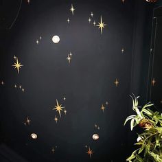 a black room with gold stars on the wall and potted plant next to it