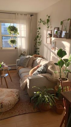 a living room filled with furniture and plants