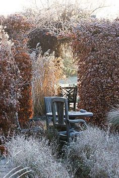 an outdoor table and chairs in the middle of some bushes with frost on them,